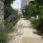 Lucija