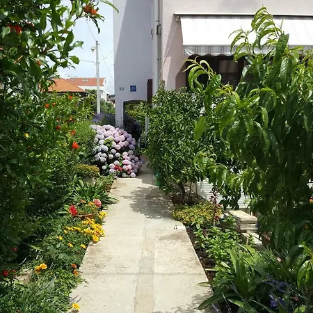 Lucija Zadar