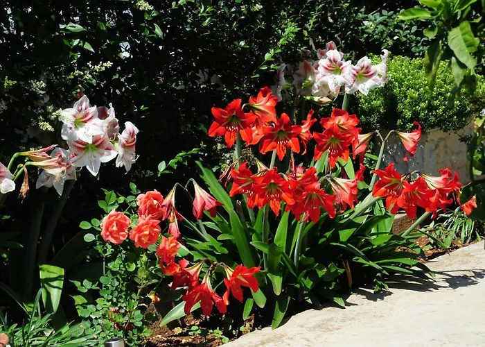 Lucija Appartamento *