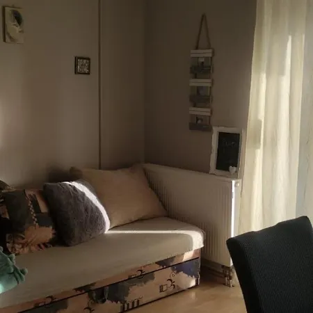 露西亚公寓酒店 *